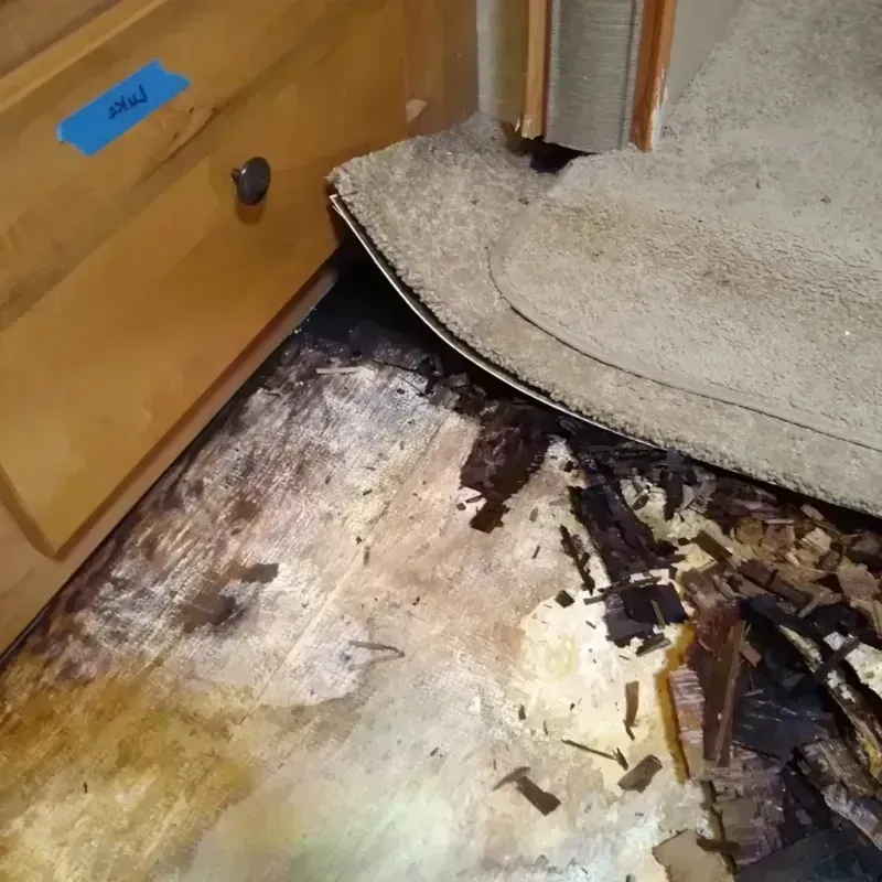 Wood Floor Water Damage in Saint Lawrence, PA